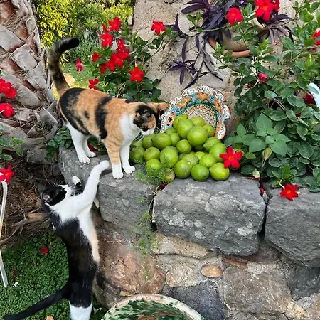 Bed & Breakfast La Capanna Di Giuseppe E Maria Taormina