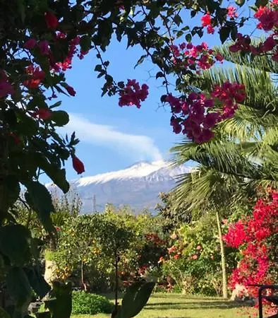 La Capanna Di Giuseppe E Maria 4*